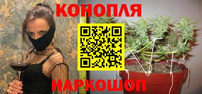 хмурый Тара