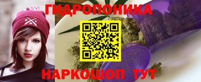 хмурый Тара
