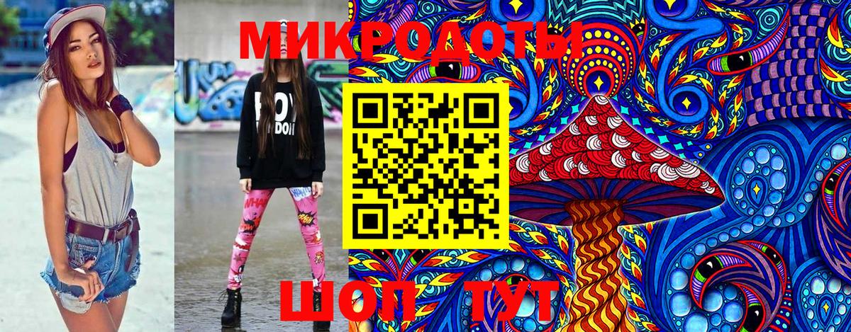 Псилоцибиновые грибы Psilocybine cubensis Новоалтайск