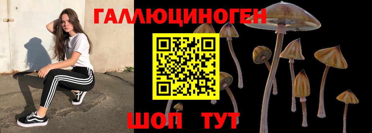 Псилоцибиновые грибы ЛСД  Галлюциногенные грибы Magic Shrooms  Новоалтайск  Вход с VPN 